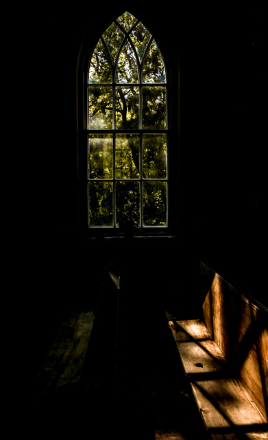 In the Pew by Liz Hextall